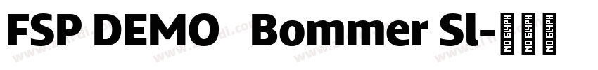 FSP DEMO   Bommer Sl字体转换